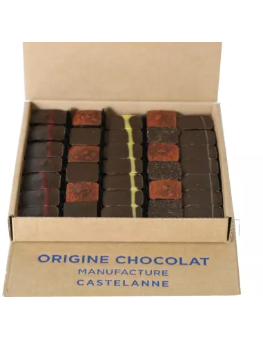 coffret dégustation  cru cacao 24 chocolats
