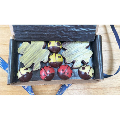 Distinction Chocolat caramel