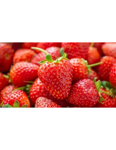 Confiture d\'abricots Vanille