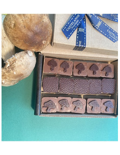 coffret dégustation  cru cacao 24 chocolats