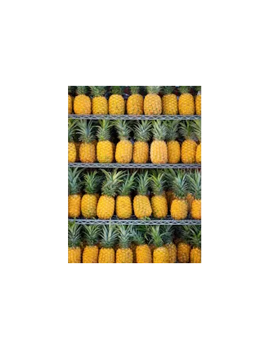 Confiture Reine claude