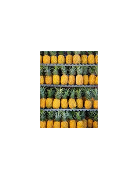 Confiture Reine claude