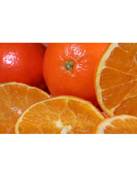 Confiture Reine claude