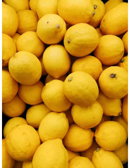 citron confit chocolat