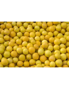 Confiture Duchesse Anne 2