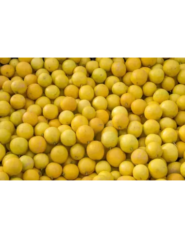 Confiture Duchesse Anne