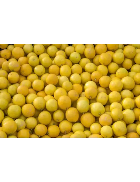 Confiture Duchesse Anne