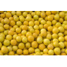 Confiture Duchesse Anne