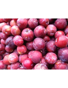 Confiture Duchesse Anne 2