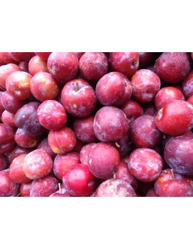 Confiture Duchesse Anne