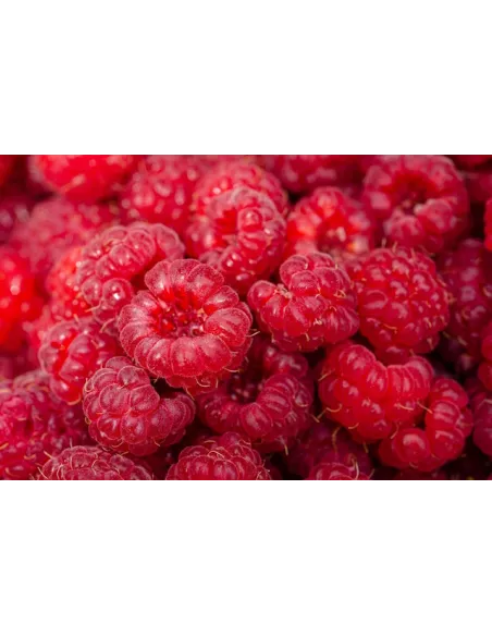 Confiture d\'abricots Vanille