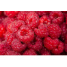 Confiture d\'abricots Vanille