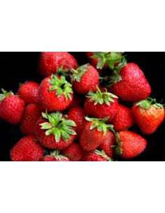 Confiture d\'abricots Vanille 2