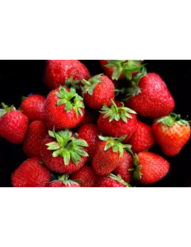 Confiture d\'abricots Vanille