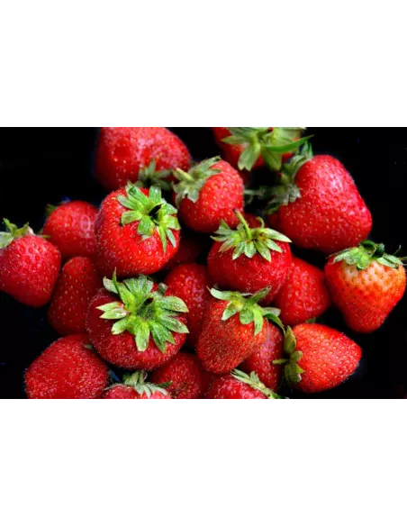 Confiture d\'abricots Vanille