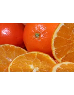 Confiture d\'abricots Vanille 2