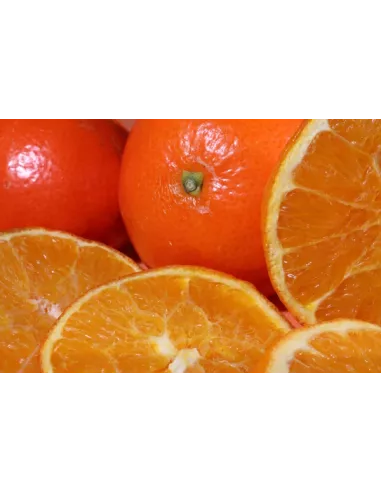 Confiture d\'abricots Vanille