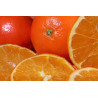 Confiture d\'abricots Vanille