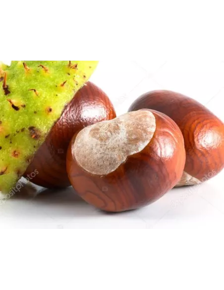 Tablette chocolat noir 100% Pérou, sans sucre