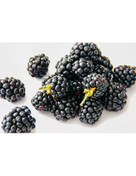 Confiture d\'abricots Vanille