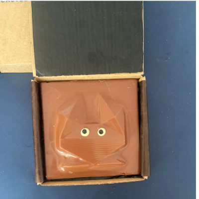 coffret dégustation  cru cacao 24 chocolats