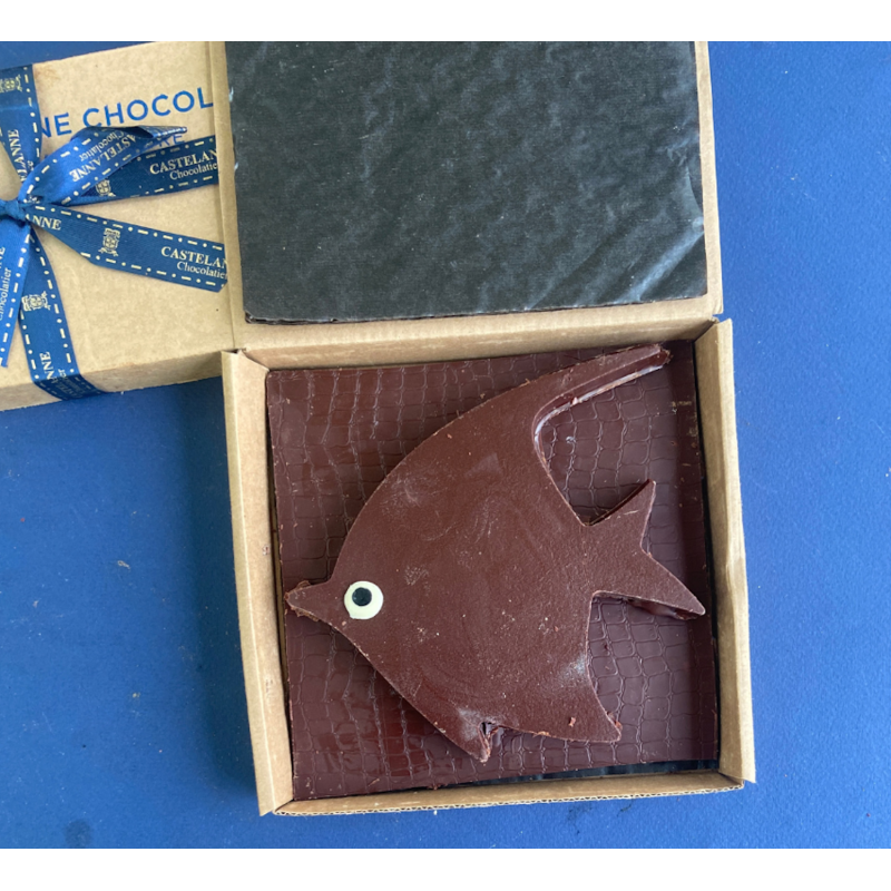 coffret dégustation  cru cacao 24 chocolats