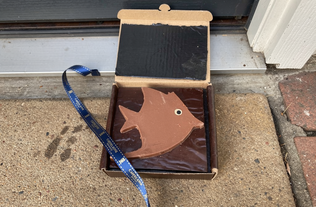 Tablette de chocolat artisanal en forme de poisson livrée dans sa boîte cadeau avec ruban sur un pas de porte.