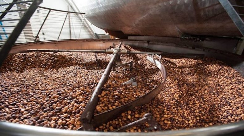 Grains de cacao torréfiés dans un grand conteneur industriel, prêt à être transformés en pâte à tartiner gourmande Castelanne.